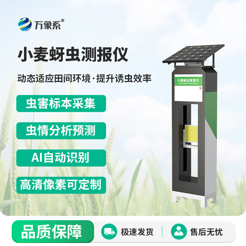 小麥蚜蟲(chóng)監測儀：如何精準防控小麥蚜蟲(chóng)蟲(chóng)害？