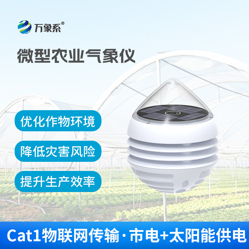五要素微型農業(yè)氣象儀
